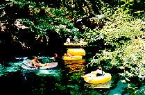 What everyone else does