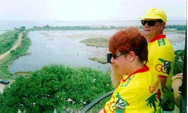 View from the lighthouse